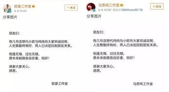 娱乐吃瓜700分,揭秘700分背后的娱乐圈风云