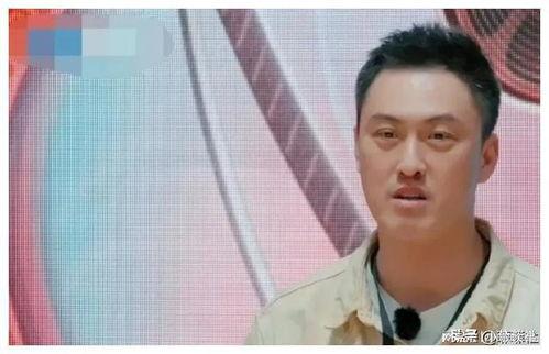 娱乐圈怎么吃瓜,揭秘明星们的“吃瓜”日常