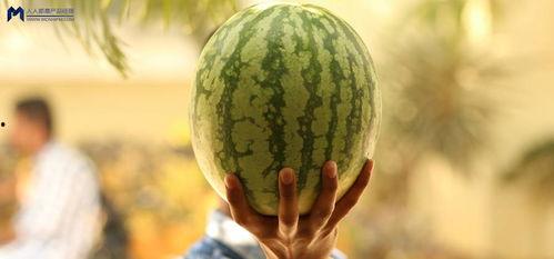 最近娱乐圈有什么瓜可吃