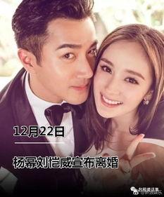 娱乐圈劲爆吃瓜小说推荐,揭秘明星背后的惊天秘密