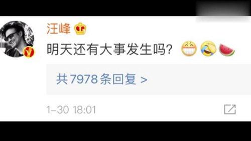 一线吃瓜娱乐圈txt百度云