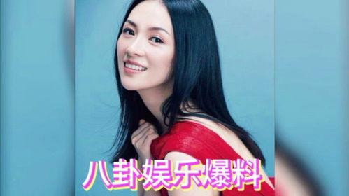 娱乐圈吃瓜明星爆料小说,揭秘明星背后的秘密与真相